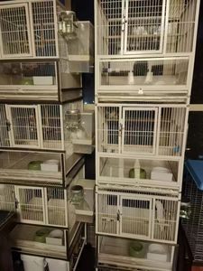 Fabricant <span class=keywords><strong>de</strong></span> <span class=keywords><strong>cage</strong></span> à oiseaux en métal <span class=keywords><strong>de</strong></span> haute qualité <span class=keywords><strong>cage</strong></span> <span class=keywords><strong>de</strong></span> <span class=keywords><strong>transport</strong></span> canari Grande <span class=keywords><strong>cage</strong></span> à oiseaux d'élevage avec support roulant - Product Image 6