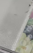 Machine multifonctionnelle de découpe thermique pour la fabrication de sacs en plastique Bopp Opp Pe