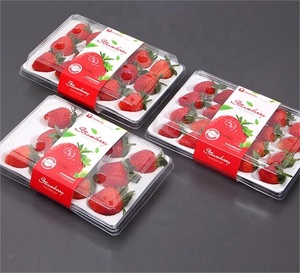 Bán Buôn Trong Suốt Tươi Dâu Tây Bao Bì Container Siêu Thị Thực Phẩm Hộp Nhựa Nhựa Dâu Tây Đóng Gói Trái Cây Hộp - Product Image 1