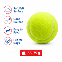 Jouets à mâcher interactifs en peluche durables et écologiques pour le nettoyage des dents, balle de tennis pour chien, rebondissant, pour l'exercice en extérieur et en intérieur