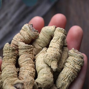 Экстракт корня моринды в порошке: поддержка жизненной силы и физической выносливости, натуральный адаптоген. Настраиваемый оптовый экстракт моринды официналис. - Product Image 4