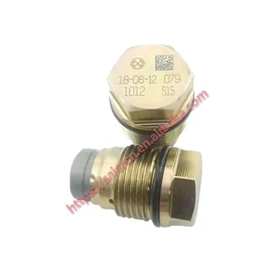 High Quality Fuel Pressure Limiting Valve/Fuel Pressure Relief Valve 1110010012