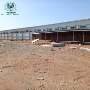 Gallinero Prefabricado <span class=keywords><strong>de</strong></span> Acero <span class=keywords><strong>de</strong></span> Bajo Costo, Gallinero Prefabricado para Granja Avícola en <span class=keywords><strong>Venta</strong></span> - Product Image 6