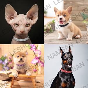 <span class=keywords><strong>Collar</strong></span> de cuero con tachuelas afiladas para mascotas, <span class=keywords><strong>Collar</strong></span> ajustable duradero para caminar, proveedor de mascotas - Product Image 6