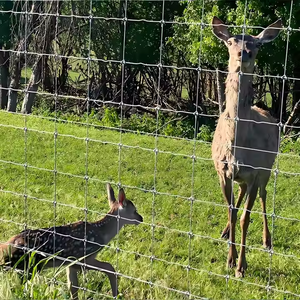 Recinto per bestiame in acciaio zincato sostenibile per azienda agricola, - Product Image 6
