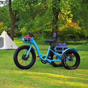Tricycle électrique tout-terrain puissant 48V 500W avec pneus larges de 24 pouces - Product Image 1
