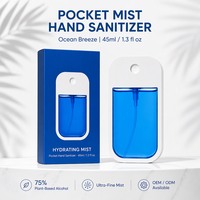 Désinfectant pour les mains liquide nourrissant et écologique avec ingrédient actif parfumé, logo personnalisé, emballage en vaporisateur pratique