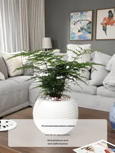 Pot <span class=keywords><strong>de</strong></span> fleurs auto-arrosant au design moderne, <span class=keywords><strong>en</strong></span> résine plastique épaissie, pour <span class=keywords><strong>culture</strong></span> <span class=keywords><strong>en</strong></span> terre ou hydroponie, idéal pour la décoration créative <span class=keywords><strong>de</strong></span> la maison et le jardinage <span class=keywords><strong>de</strong></span> bureau. - Product Image 6