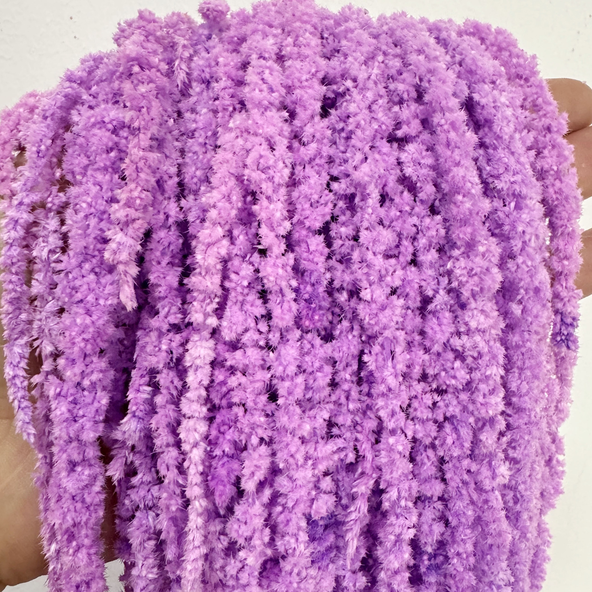 Viola chiaro