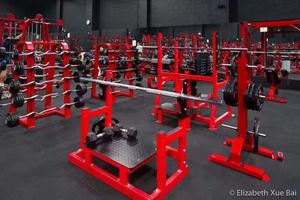 상업용 체육관 장비 iso 측면 d <span class=keywords><strong>y</strong></span> 행 플레이트로드 된 체육관 피트니스 장비 Iso-측면 D.<span class=keywords><strong>Y</strong></span>. 행 기계