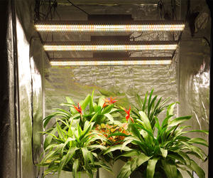 Samsung-luz led para cultivo hidropónico inteligente, 6 bares, automático, lm301h, <span class=keywords><strong>2022</strong></span> vatios, uv ir, para verduras y frutas, gran oferta, 600 - Product Image 6