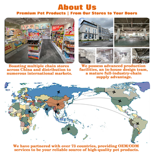 Suporte Elevado Ajustável para Tigela de Comida para Gatos e Cães com Tigela Removível Fácil de Limpar em Aço Inoxidável - Product Image 4