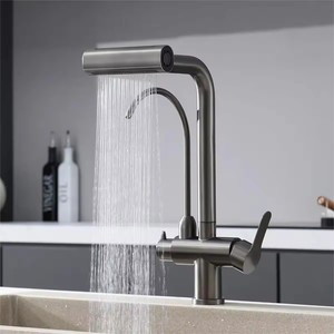 <span class=keywords><strong>Mitigeur</strong></span> moderne à <span class=keywords><strong>double</strong></span> poignée en acier inoxydable 304 Robinet d'évier Robinet d'eau potable Robinet de cuisine extractible Filtre de robinet - Product Image 2
