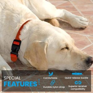 ปลอกคอสุนัขแบบปรับได้ Gracie To The Rescue รุ่นทดแทน สีแดง ทำจากไนลอน สำหรับฝึกสุนัข - Product Image 6