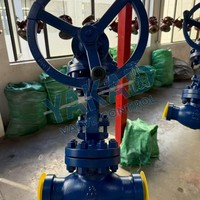 Válvula de Compuerta de Acero Inoxidable para Petróleo y Gas, Aceite Caliente, 1 Pulgada, Tapón de Flujo, PN100