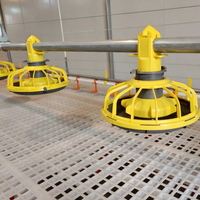 Équipement d'alimentation des poulets, système d'alimentation automatique, mangeoire automatique pour poulets de chair, équipement d'élevage avicole