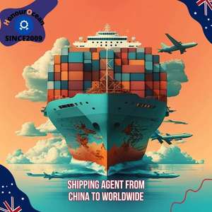 배송 대리인화물 운송업자 물류 서비스 지역 창고 바다 배송 Ddp 서비스 중국에서 호주까지 문까지 - Product Image 5