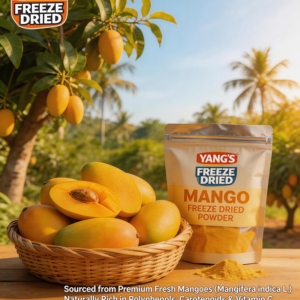 Gedroogde <span class=keywords><strong>mango</strong></span> poeder 100% puur, geen toevoegingen, voedingskwaliteit, rijke geur, wateroplosbaar, bulk, voor gezonde voeding, dranken, export - Product Image 2