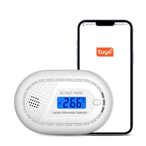 Real time Tuya WiFi Approve EN50291 LCD Digital Display CO detection Alarm home security Carbon Monoxide Detector