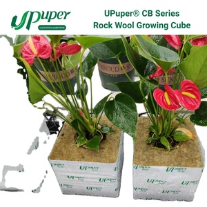 UPuper <span class=keywords><strong>CB</strong></span> Cubos de Lana de Roca de 3*3 Pulgadas para Cultivo Hidropónico/Vertical sin Tierra, Sustrato para Plántulas - Product Image 1