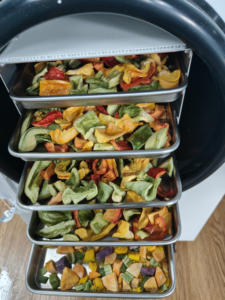 冷凍乾燥機10kg自動食品加工用収穫機 - Product Image 4