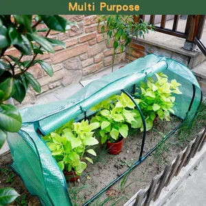 Mini Indoor Outdoor Tunnel Plastic Grow Small Garden Greenhouses Green House for Winter