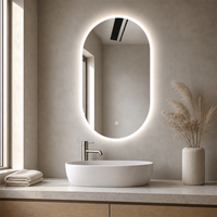 Miroir de salle de bain LED ovale sans cadre avec éclairage arrière doux, commande tactile, miroir mural OEM ODM pour villa, hôtel, achat en gros