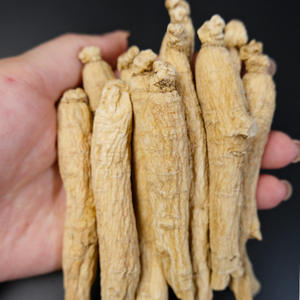 Teh Kesehatan Campuran <span class=keywords><strong>Ginseng</strong></span> Mentah Kering Hasil Panen Baru, Teh Longgar Grosir - Product Image 2