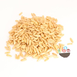 Grain d'<span class=keywords><strong>avoine</strong></span> de haute qualité vente chaude de <span class=keywords><strong>graines</strong></span> d'<span class=keywords><strong>avoine</strong></span> jaune non décortiquées en vrac de saveur originale - Product Image 1