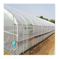 Serre agricole à simple travée 10x50m pour pépinière, en film plastique PE