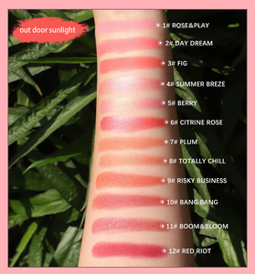 Poudre de fard à joues pressée transparente carrée noire de 12 couleurs, maquillage, marque privée, poudre de fard à joues - Product Image 4