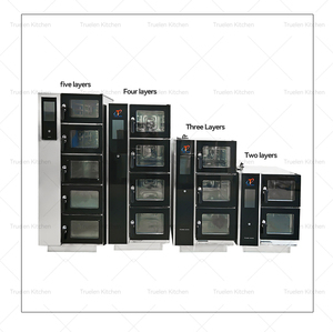 Horno de Vapor Comercial, Horno para Cocinar al Vapor, Acero Inoxidable, para Restaurante, Hotel, Cocina, Horno de Vapor TL - Product Image 6