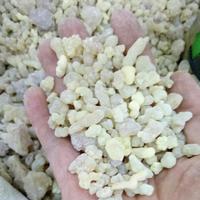 Encens naturel Royal Hojari D'encens Boswellia sacra importés D'oman