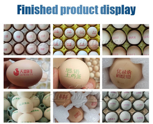 Impresora automática de fecha de huevo máquina de impresión máquina de codificación de huevos - Product Image 4