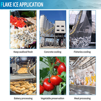 Machine à glace en flocons industrielle de 10 tonnes 20 tonnes/jour |   Certifié CE |   Rendement élevé |   Approvisionnement direct d'usine chinoise |   Prix économique