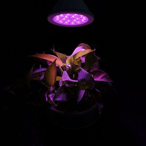 Lâu dài cao CRI PAR30 dẫn phát triển bóng đèn phát triển thực vật khỏe mạnh tất cả các giai đoạn tăng trưởng - Product Image 1