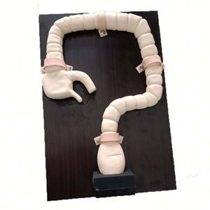 KyrenMed Koloskopie Untersuchung simulator Sigmoidos kopie Trainings modell Dickdarms imulator Pathologie modell - Product Image 3