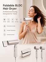 Sèche-cheveux pliable BLDC OEM ODM en promotion, double tension 110-240V, 1500W, avec concentrateur et diffuseur, idéal pour les voyages