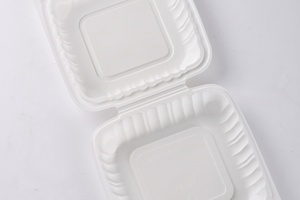 Bagasse phân hủy sinh học vỏ sò hộp Nguồn cung cấp bên trắng chưa tẩy trắng 100% thiên nhiên bao bì hộp hai Khung ba khung hình vỏ sò - Product Image 4