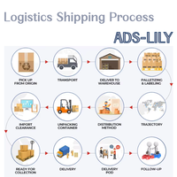 Livraison par agent Sea Express pour les Philippines, l'Égypte, les États-Unis, les achats en ligne au Sri Lanka, stockage gratuit, DDP, FCL, LCL, expédition en Haïti, en Colombie
