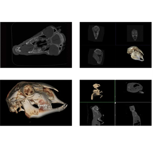 Thú Y Thiết Bị Thiết Bị Y Tế Vet 128 64 32 Slice Thú Y Y Tế <span class=keywords><strong>CT</strong></span> Máy Quét - Product Image 2