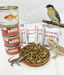 Vers de farine frais 100% naturels en vrac, emballage en sac aluminium, alimentation pour oiseaux et volailles - Product Image 3