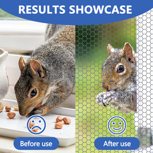 Red de alambre galvanizado de 1 pulgada, 150 pies, 24 pulgadas de alto para pollo, material de alambre de hierro galvanizado resistente a la corrosión - Product Image 3