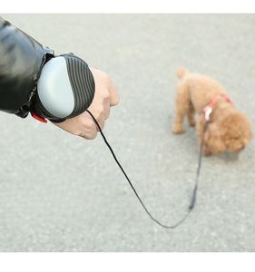 Laisse rétractable mains libres pour chien avec bracelet – Laisse de promenade en nylon de 2,4 m pour chiens de petite à moyenne taille – Cadeau promotionnel pour animaux de compagnie - Product Image 3