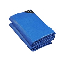 Bâche en plastique PE bleue bâche de moto bâche en plastique ponton HDPE bâche en plastique