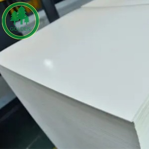 Manufacturing 300gsm 350gsm 400gsm Two Side Coated Art Paper Matt for Commercial Printing in Chile Market - Product Image 3