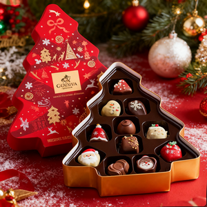 Tùy chỉnh màu đỏ từ cao cấp thân thiện với môi trường hộp năm mới Giáng sinh đóng gói quà tặng công chúa thiết kế tái chế Matt cán - Product Image 1