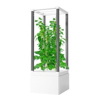 Système de jardin intérieur contrôlé par application avec lampes de culture Système de légumes grimpants hydroponiques