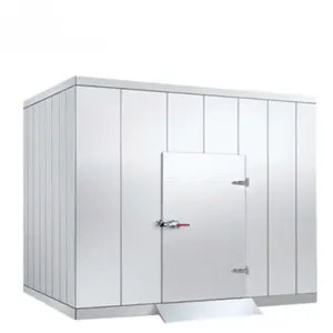 Customized voltage and size cold room and freezer room for meat and fish