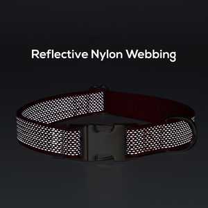 Cá nhân chó phản chiếu phẳng Nylon vải Unisex cổ áo đỏ đen xanh hồng xanh cam - Product Image 3